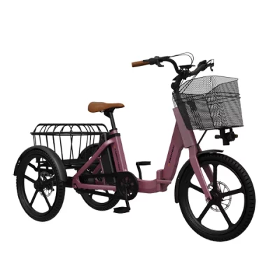 TRICICLO TRIOGO